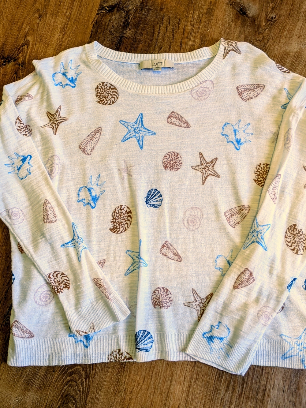 LOFT Cream and Light Blue Women’s Sweater